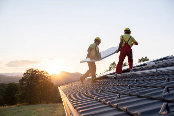Best Roof Moss and Algae Removal  in Ford City, PA